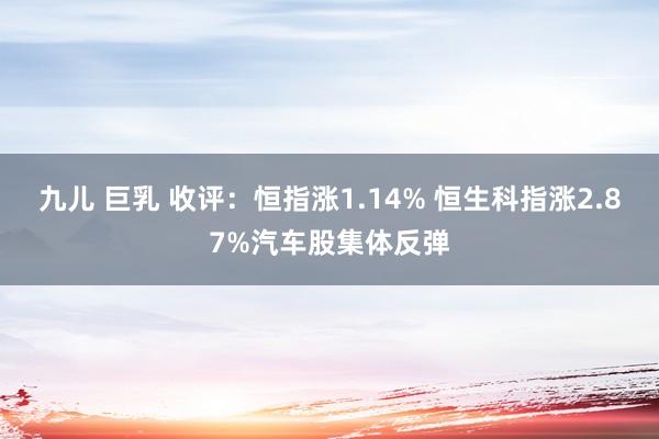 九儿 巨乳 收评：恒指涨1.14% 恒生科指涨2.87%汽车股集体反弹