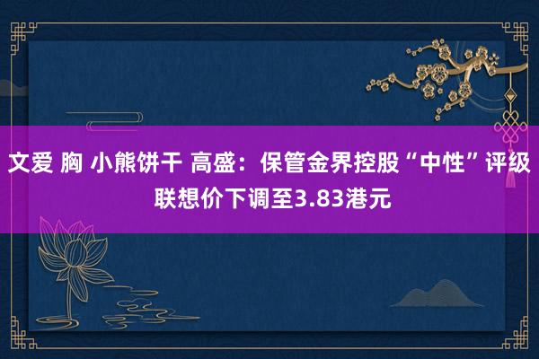 文爱 胸 小熊饼干 高盛：保管金界控股“中性”评级 联想价下调至3.83港元