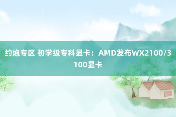 约炮专区 初学级专科显卡：AMD发布WX2100/3100显卡